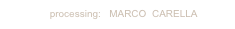 Graphics processing:   MARCO  CARELLA